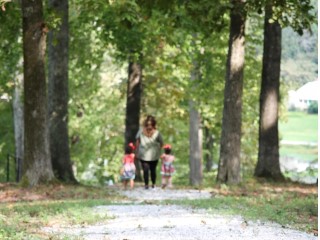 Alloys Park photograph 3