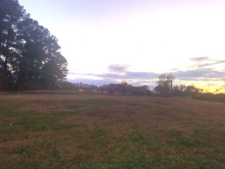 Alloys Park photograph 12