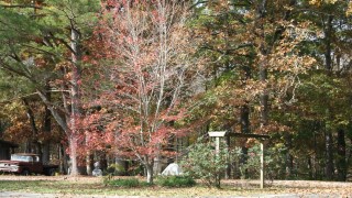 Rose Trail Park photograph 8